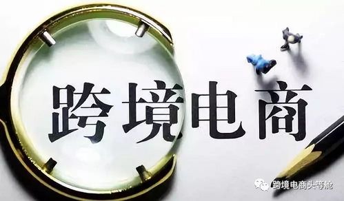 进博会又双叒来了，今年这样玩转跨境与国内贸易